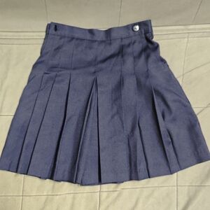 LOFT Dark Blue A-Line Pleated Skirt